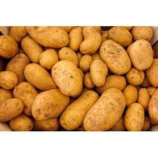 Kartoffeln  mehlig, 3 kg