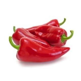 Spitzpaprika rot