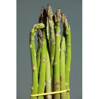 Spargel grün  Unterfranken