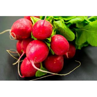 Radieschen