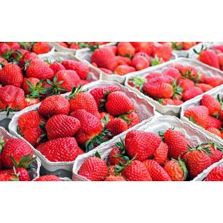 Erdbeeren 500g, Franken