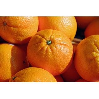 Orangen