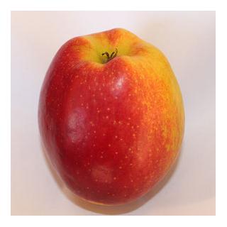 Äpfel Shalimar           Blank