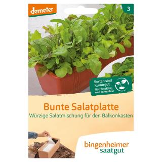 Mischung Bunte Salatplatte